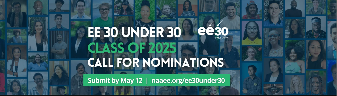 EE 30 Under 30 Awards